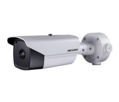  Зображення Hikvision DS-2TD2136-10 