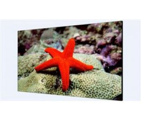  Зображення Hikvision DS-D2055NL-B/G 