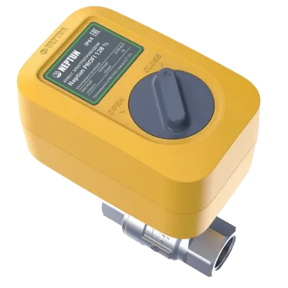  Зображення Neptun Neptun PROFI 12B 1/2 (2205802) 