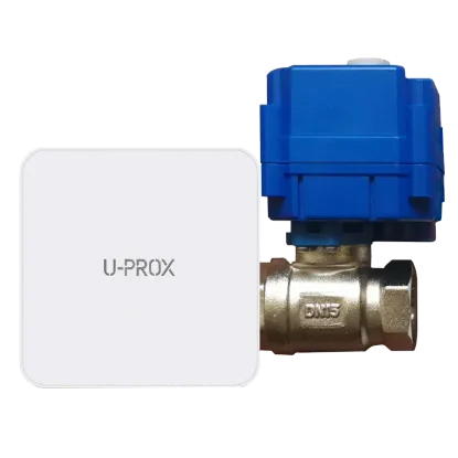  Зображення U-Prox U-Prox Valve DN20 